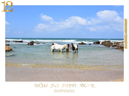 מסגרת מגנט בת מצווה יום הולדת צלמת מגנאים