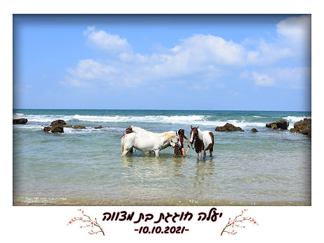 מסגרת מגנט חתונה צלמת מגנטים