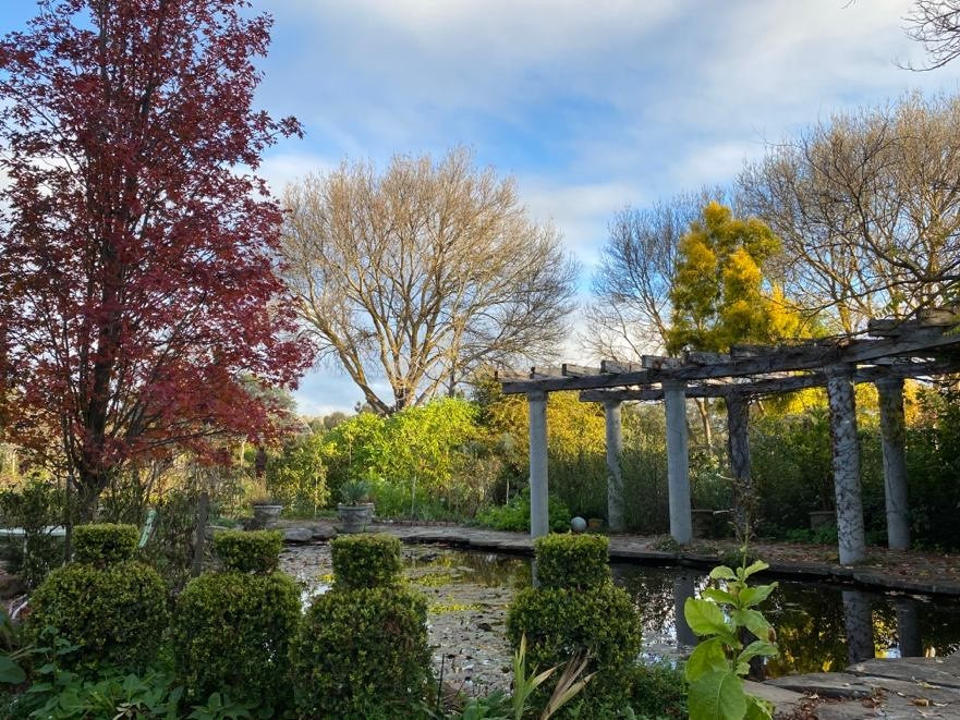 The Lily pond lawn showing the colours of autumn as the leaves start to fall at Al Ru Farm