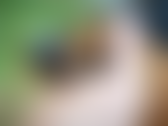 Close-up showing a dog bite injury as a dog’s teeth make contact with a person’s hand.