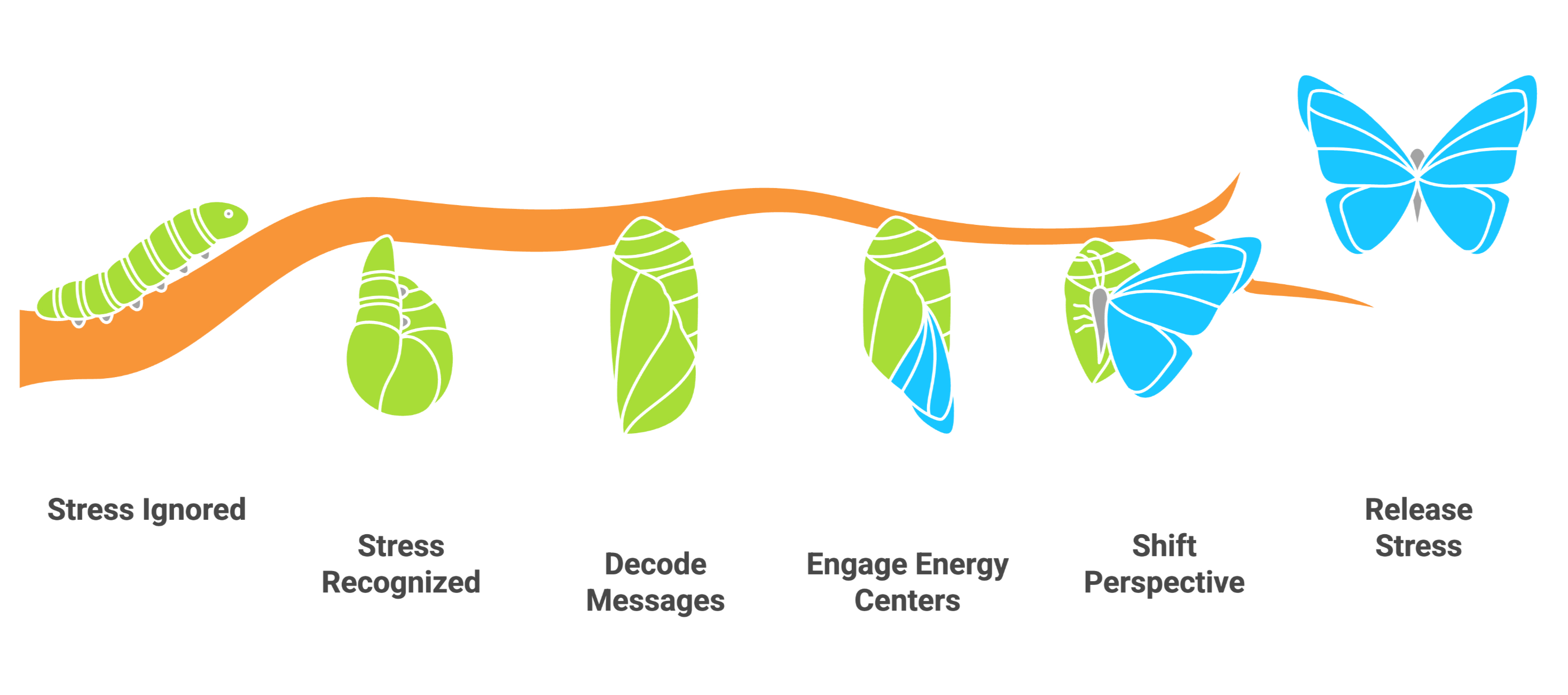 A caterpillar transforms into a butterfly on a branch. Stages labeled: Stress Ignored, Recognized, Decode Messages, Engage, Shift, Release.