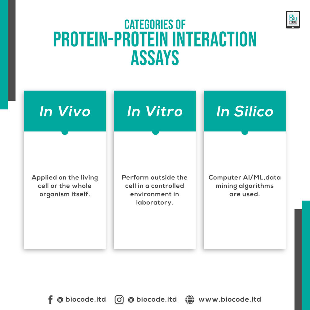 ProteinProtein Interaction