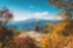 AdobeStock_225343297.jpeg