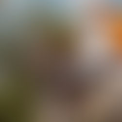 Iridike Polo Club apoya el auge del polo femenino