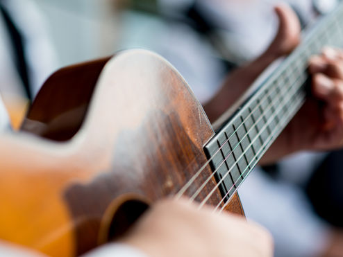 Your Guide to Guitars: Acoustic, Electric, and Bass