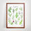 Miniature : Affiche botanique lamiacées