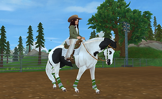 StarStable 2026-05-11 17-30-13.png