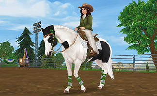 StarStable 2025-07-13 15-39-42.png