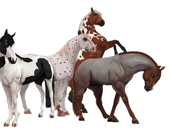 Club Horses (2).png