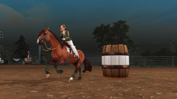 StarStable_2025-01-21_00-08-11