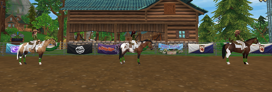 StarStable 2025-02-26 13-31-46.png
