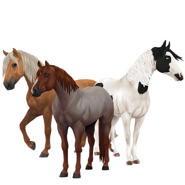 Untitled design (4).png