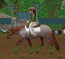 StarStable 2025-06-28 15-15-44.png