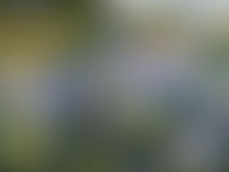 The University of Notre Dame Joins the GFCC