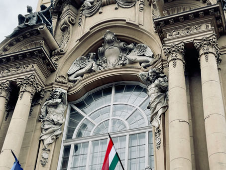 Hungarian Lawyer and Regional Leader Bernadett Petri Joins the GFCC