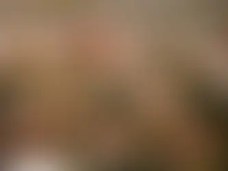 University of Arizona Aerial View