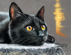 "T" pastel