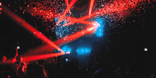 GIF.gif