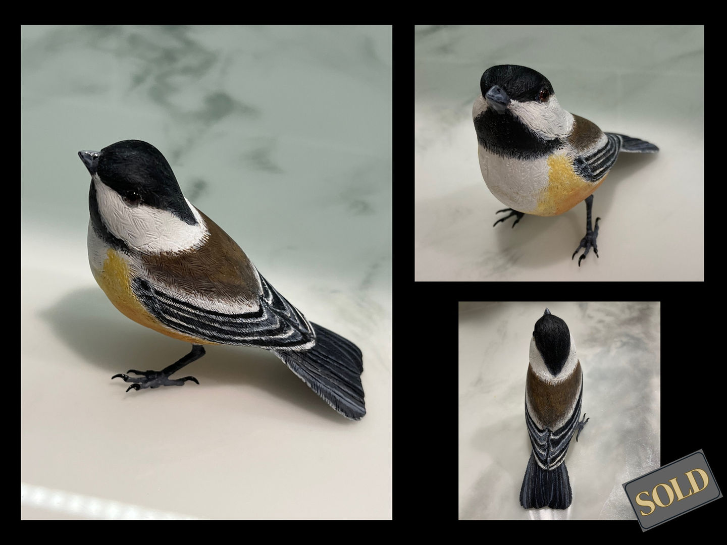 Black Capped Chickadee