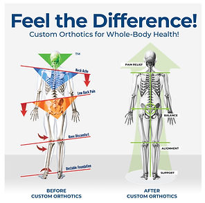 Ortho 1B.jpg