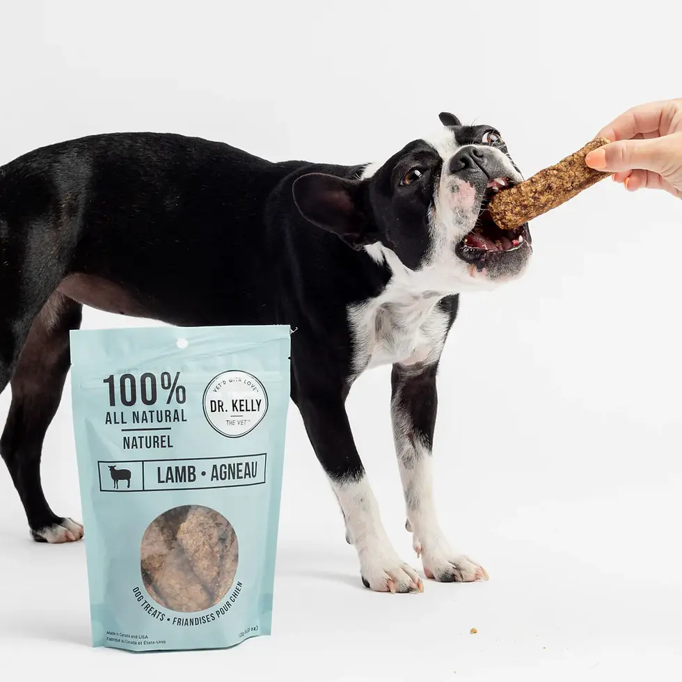 Thumbnail: Dr. Kelly The Vet 100% Natural Dog Treats - Lamb