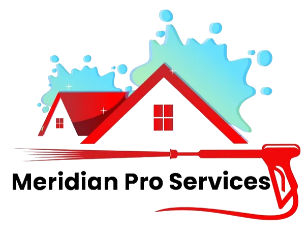 Writer: Meridian Pro Services