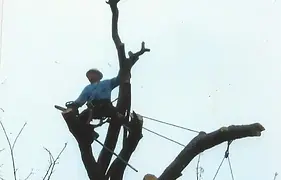 web-pic12.webp