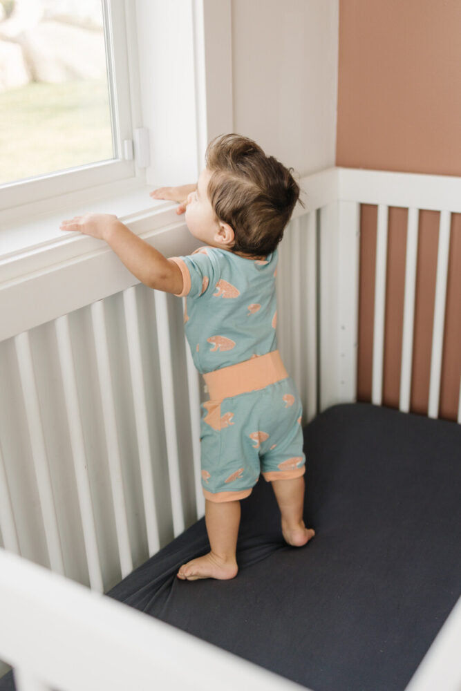 Thumbnail: Organic Cotton Shorts - Frog