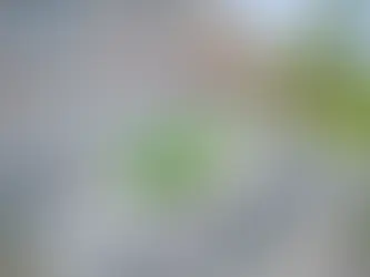 Lakeside Living House #2 for the Johnson Family