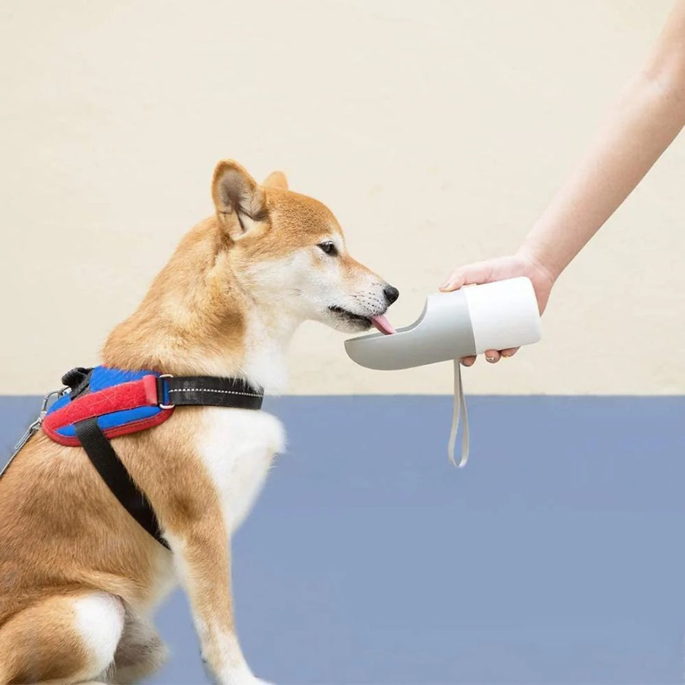 Thumbnail: Instachew Rover Pet Travel Bottle, Dog water bottle