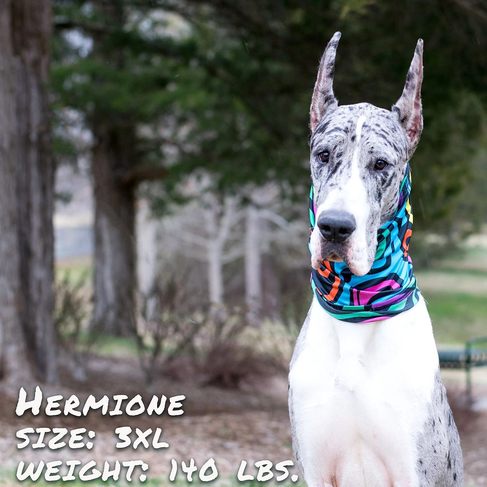 Thumbnail: Zoomies Pup Scruff