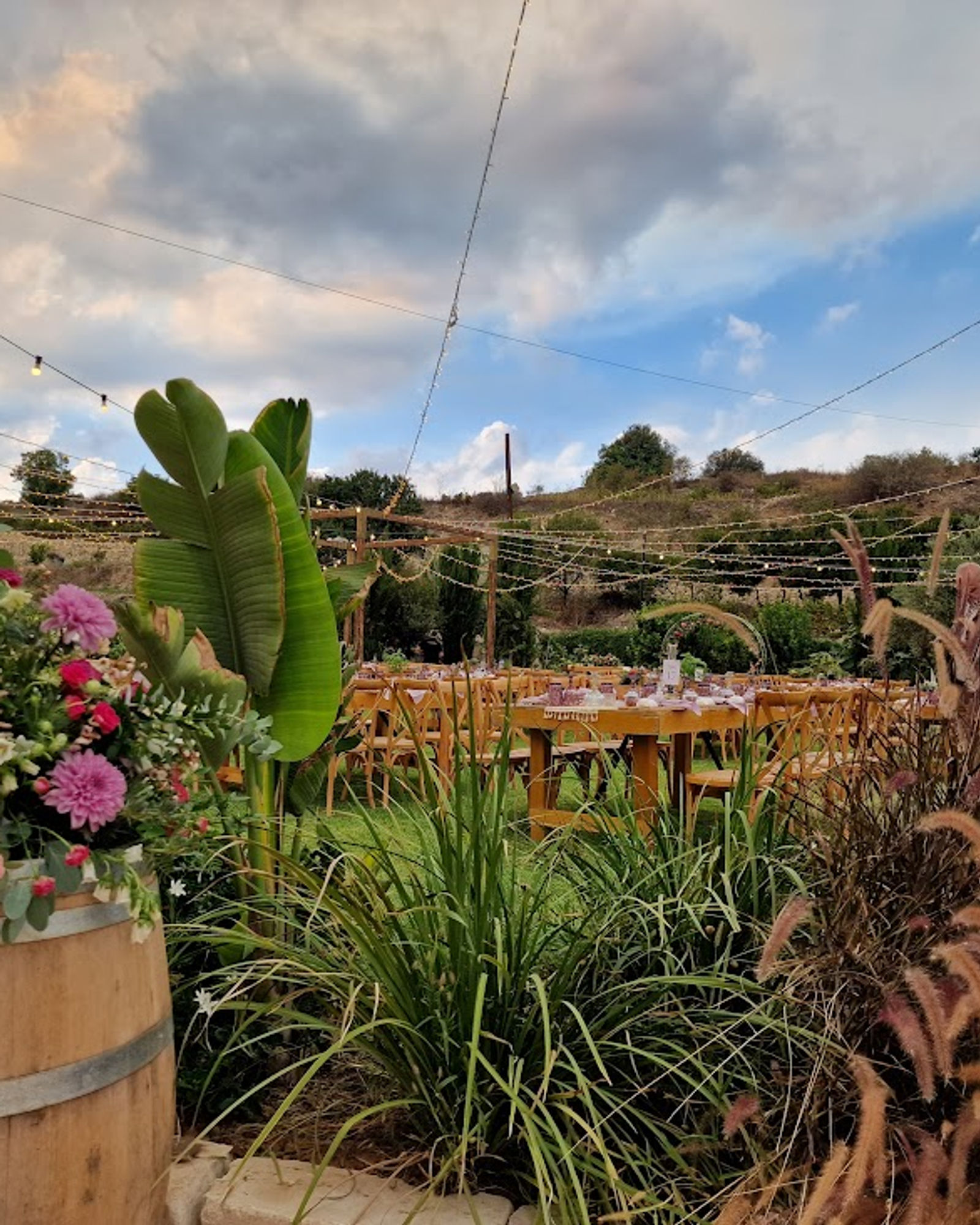 Christoudia Winery — photo 9