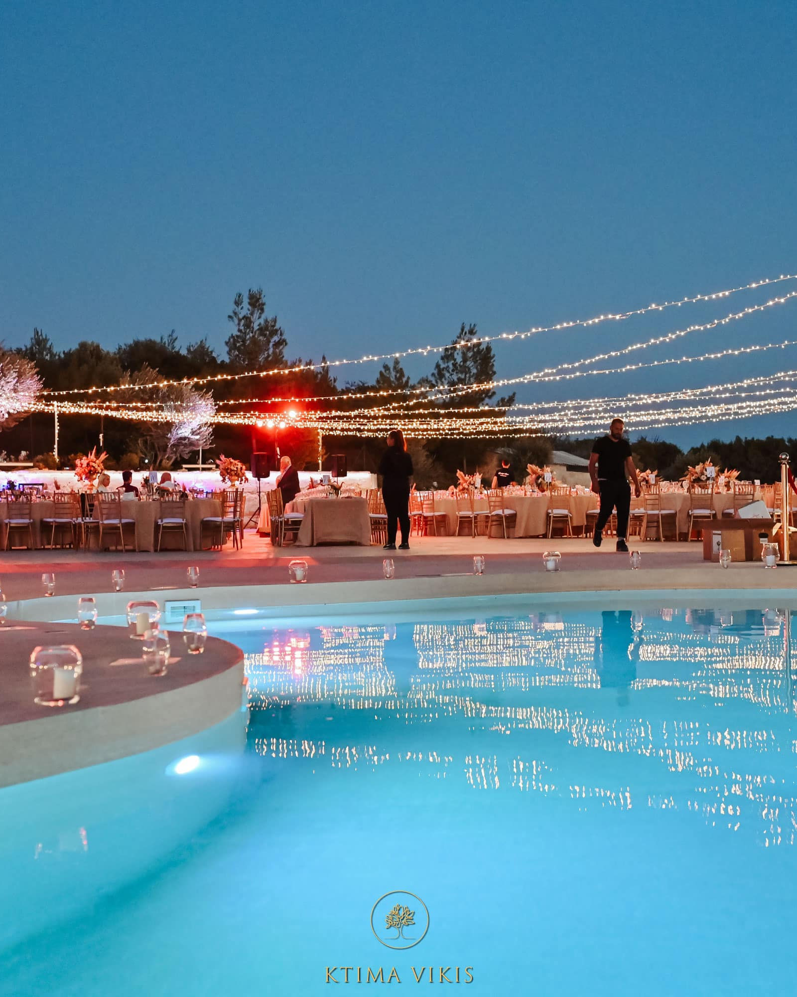 Ktima Vikis — photo 12