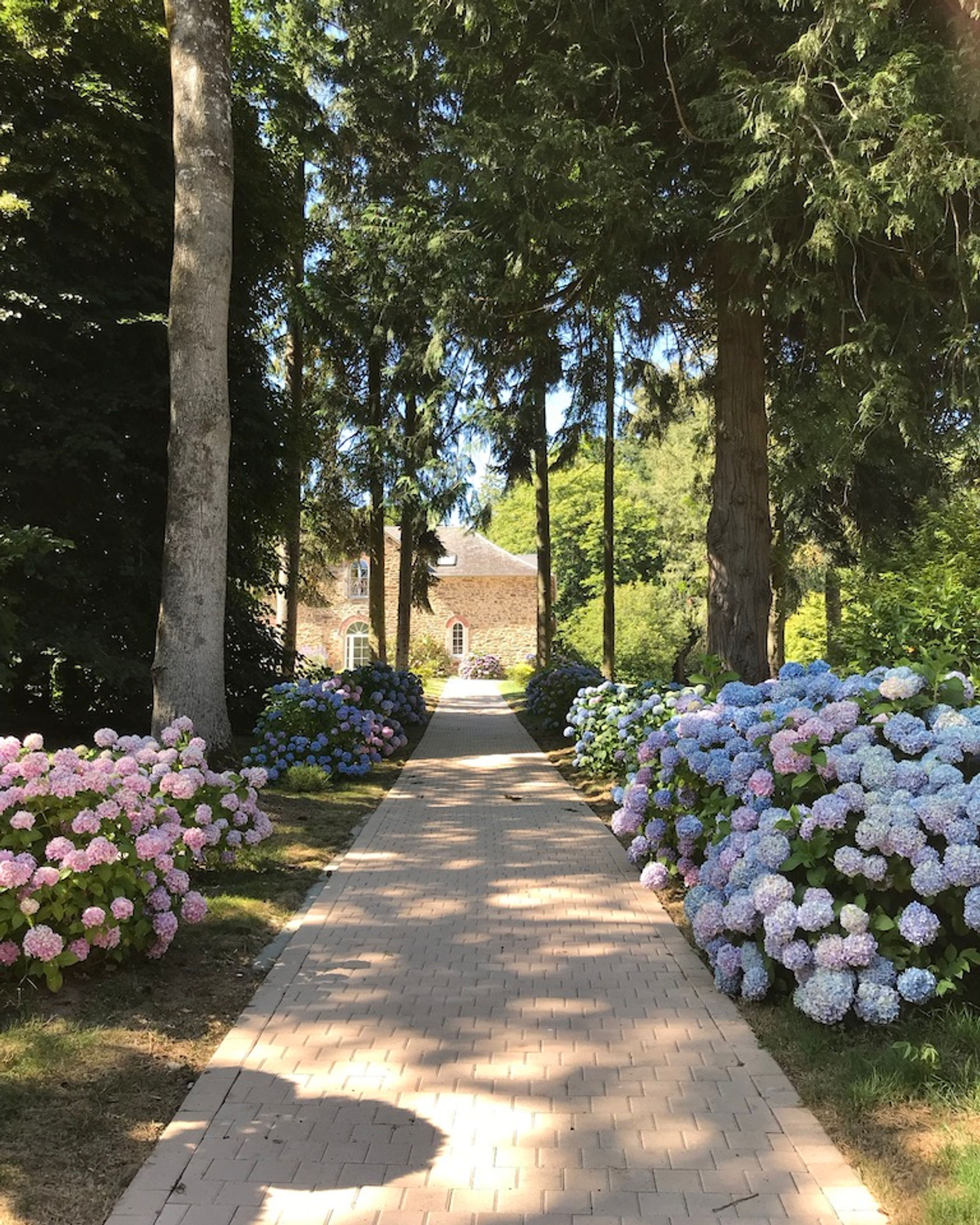 Château de Fontenaille — photo 2
