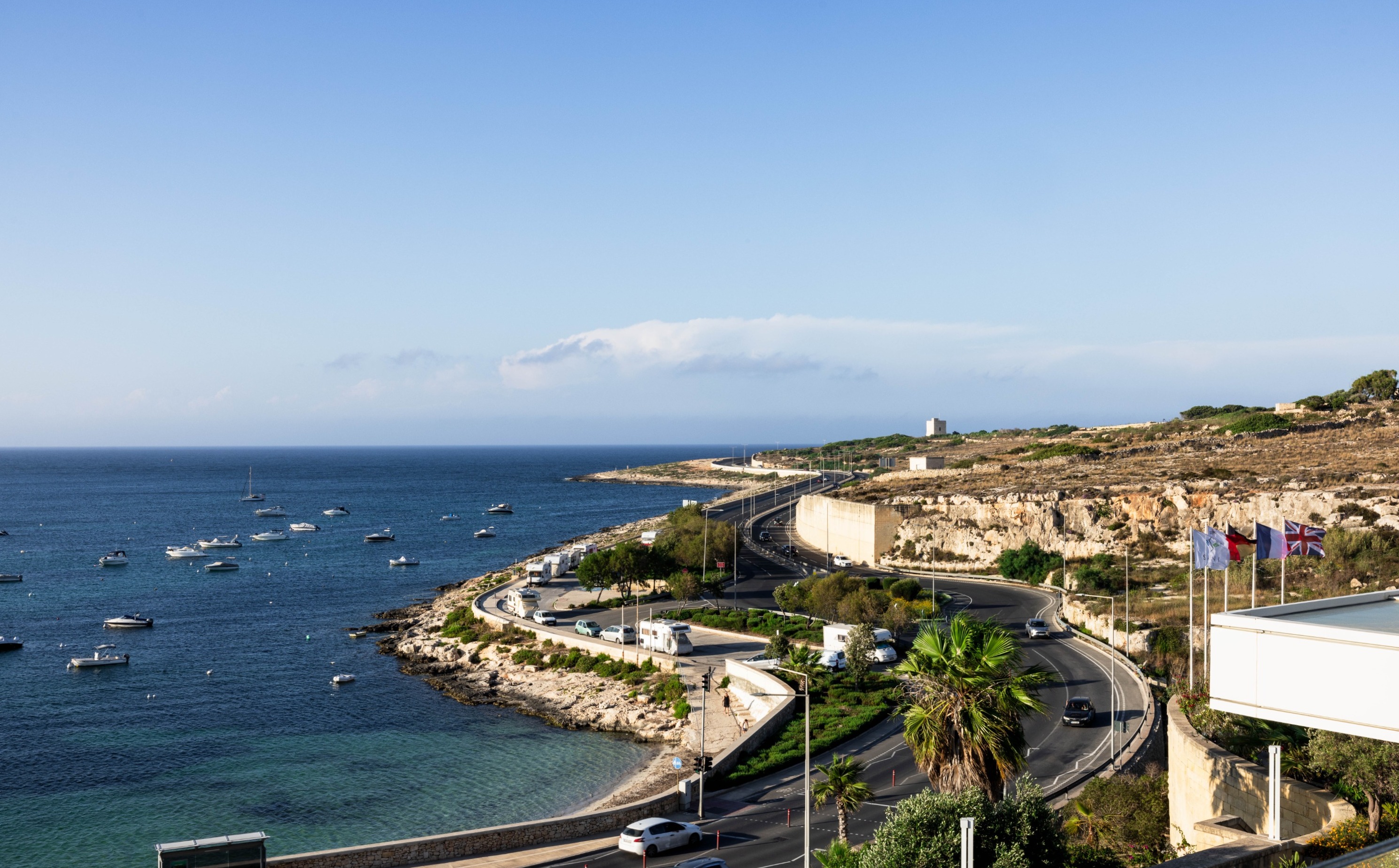Olea