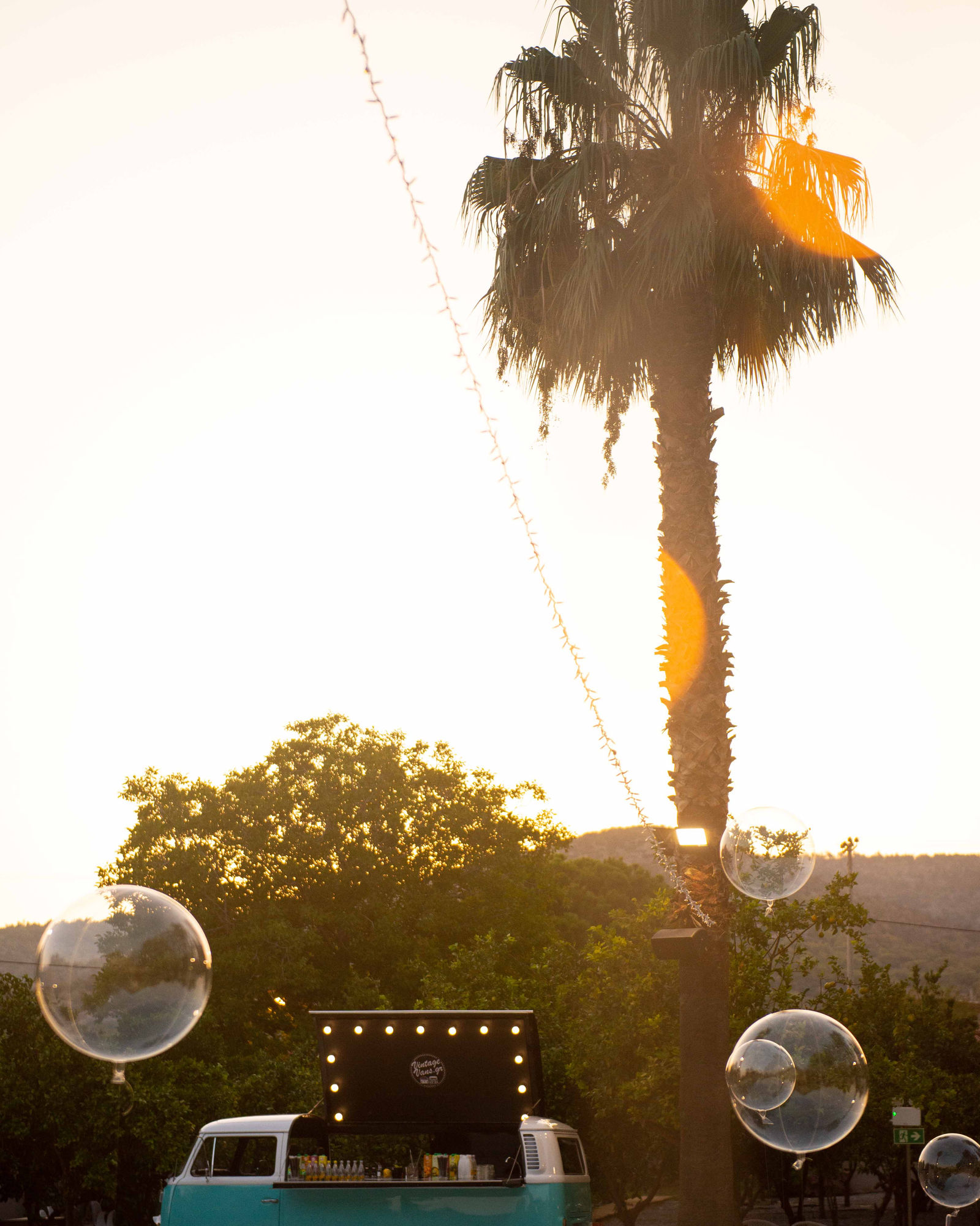 Cataleya Venue — photo 4