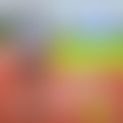 ELI MARTIN TARILONTE MINIMA CTO DE ESPAÑA