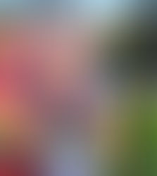 DOBLE MEDALLA PARA CARLA EN EL CTO DE ESPAÑA SUB-16 