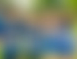 JORNADA DE MENORES MOSTOLES