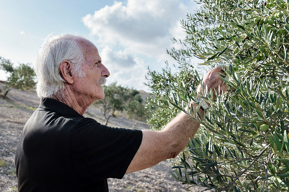 Premio PortfOLIO 2018