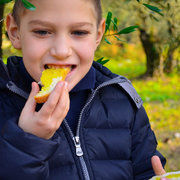 6a76d651535044f4fb659eaa5a4c8833