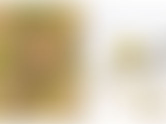 New Lens for Wildlife Photography