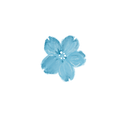 dogwood-carolynsymesphotography_lightblu