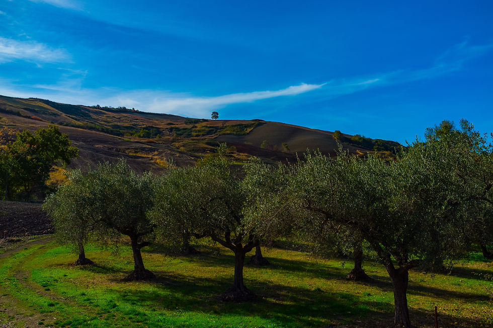 Tra Rotello e Santa Croce