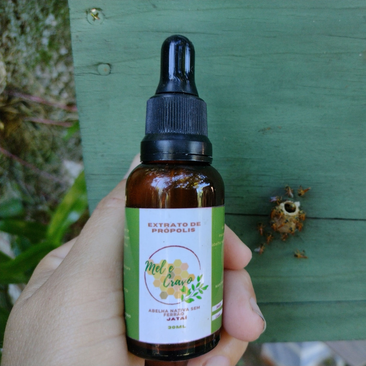 Extrato de Própolis ASF Jataí 30ml