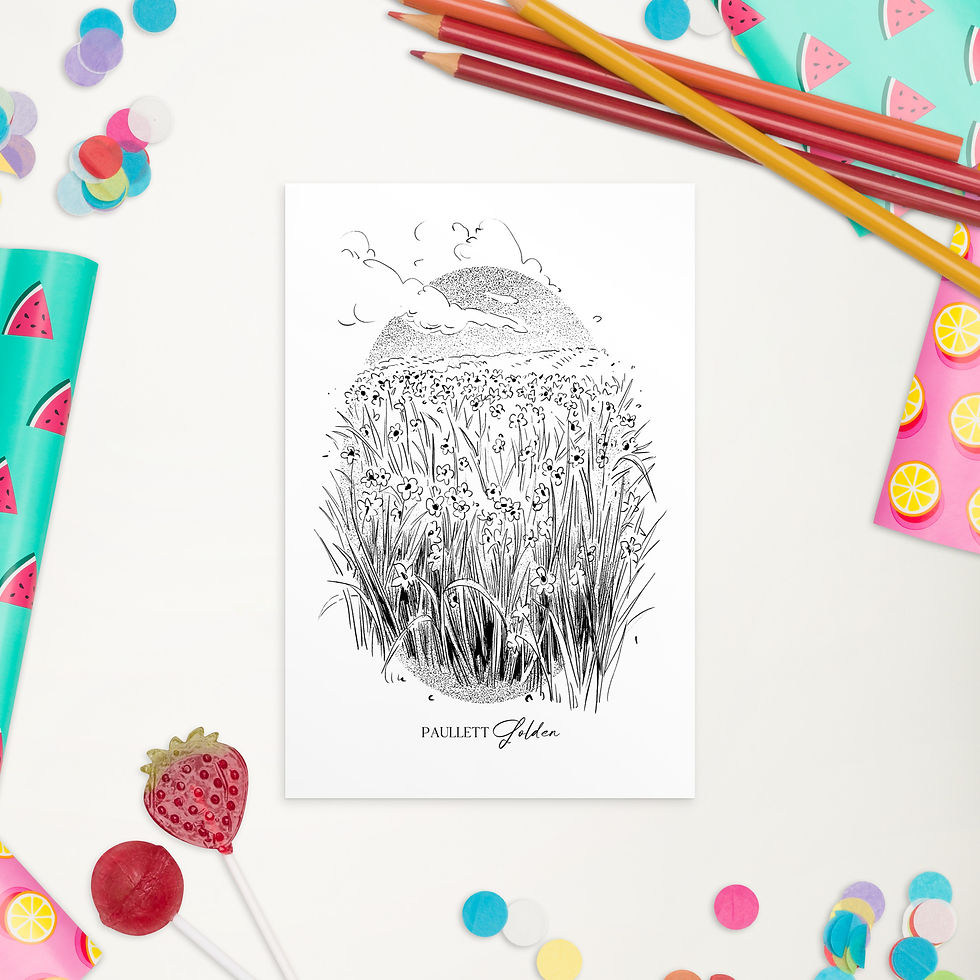 fine line illustration on postcard of a field of daffodils