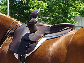 Side saddle.jpg