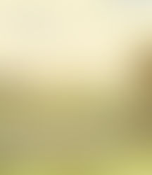 a painting of the Georgian landscape garden at Badminton House