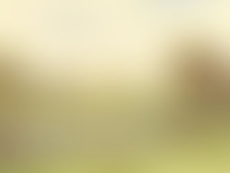 a painting of the Georgian landscape garden at Badminton House