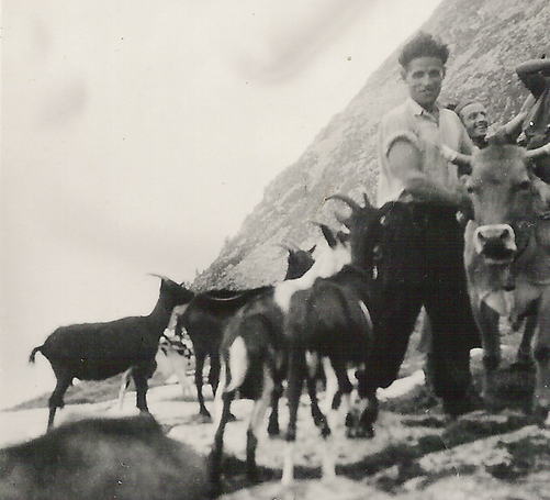 Giuseppe Donati_1945.png